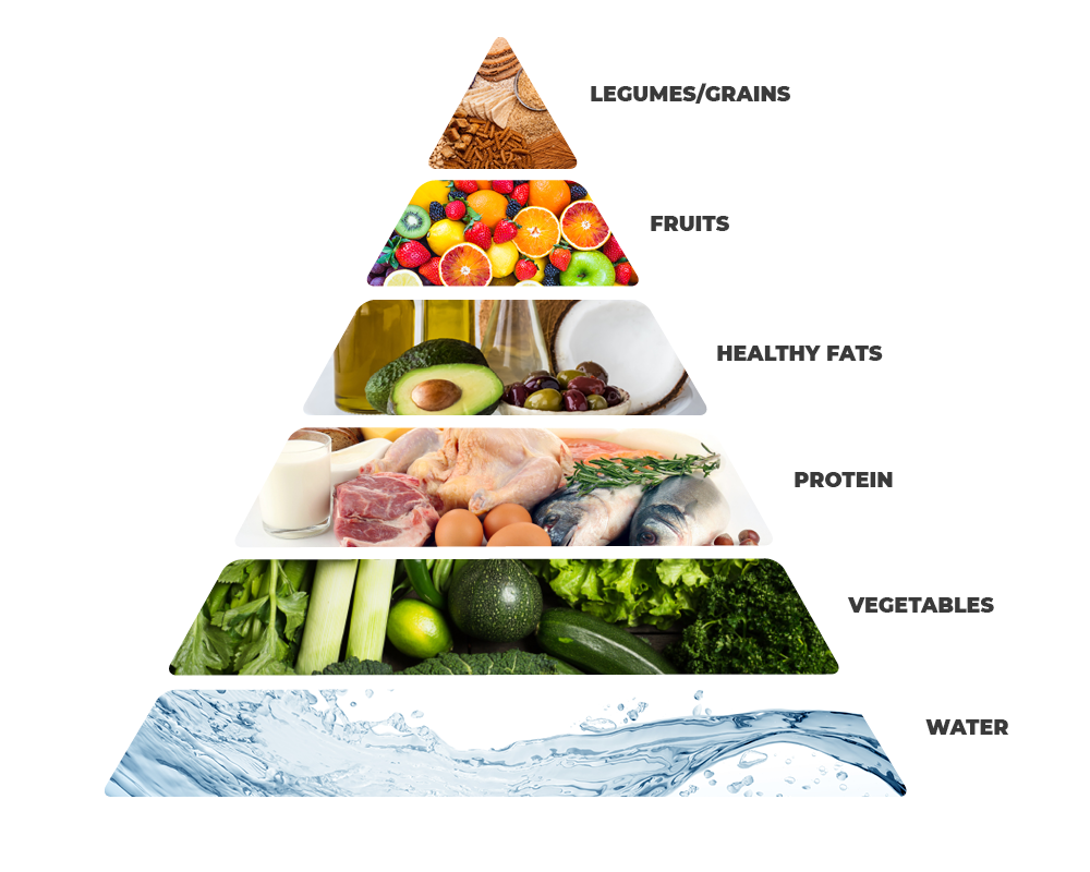 Modern Food Pyramid